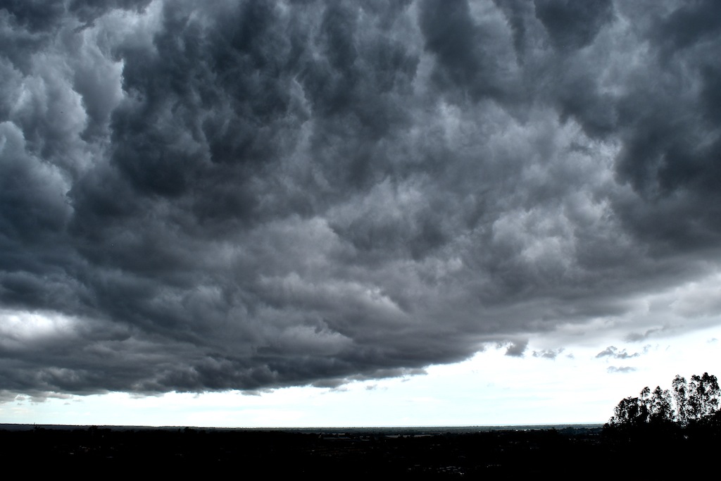 Nuba...rrones
Conjunto de grandes nubes oscuras, muy cargadas que vuelan sobre el horizonte, compartiendo imagen con un pequeñísimo grupo de arboles. Ciudad de Panamá. 
Álbumes del atlas: zfp21