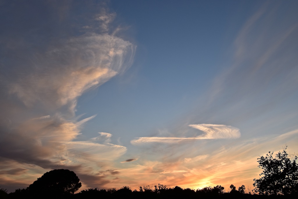 Bocanadas
Diferentes tipos de nubes transitando por entre el paisaje.
Álbumes del atlas: zfo22