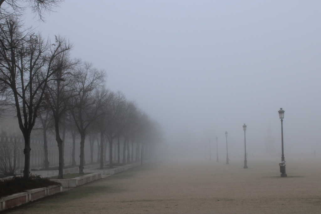 Niebla en la plaza
Álbumes del atlas: aaa_no_album