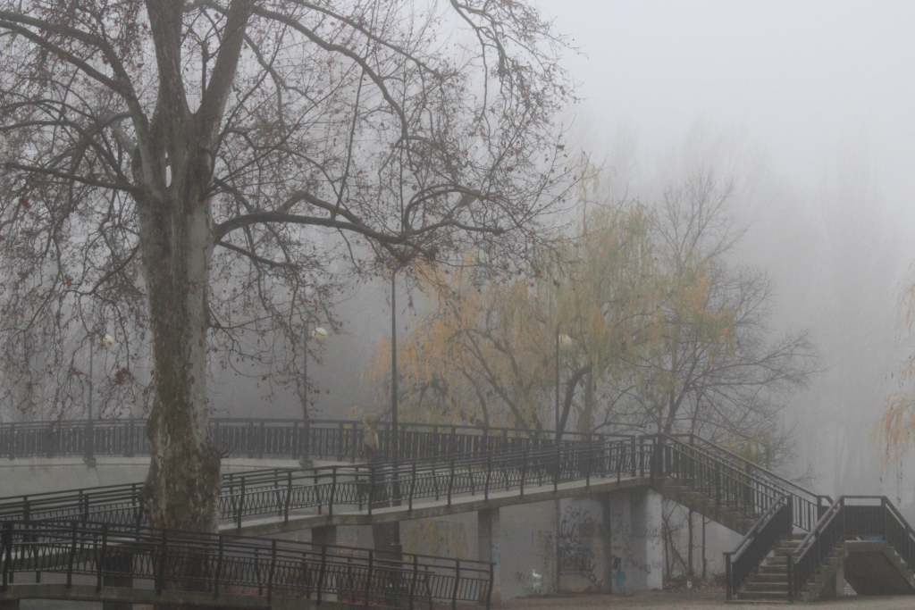 Niebla en el puente
