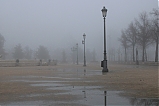 Niebla en la Plaza de San Antonio