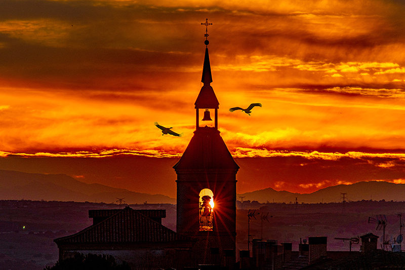 Atardecer en el campanario, a esas hora las cigüeñas regresan a su casa
