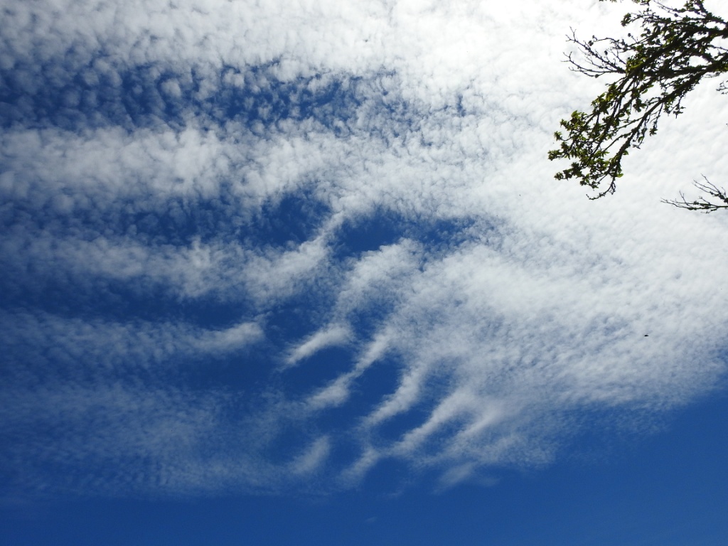 Cirrocumulus stratiformis undulatus
"Nubes en ondas"
