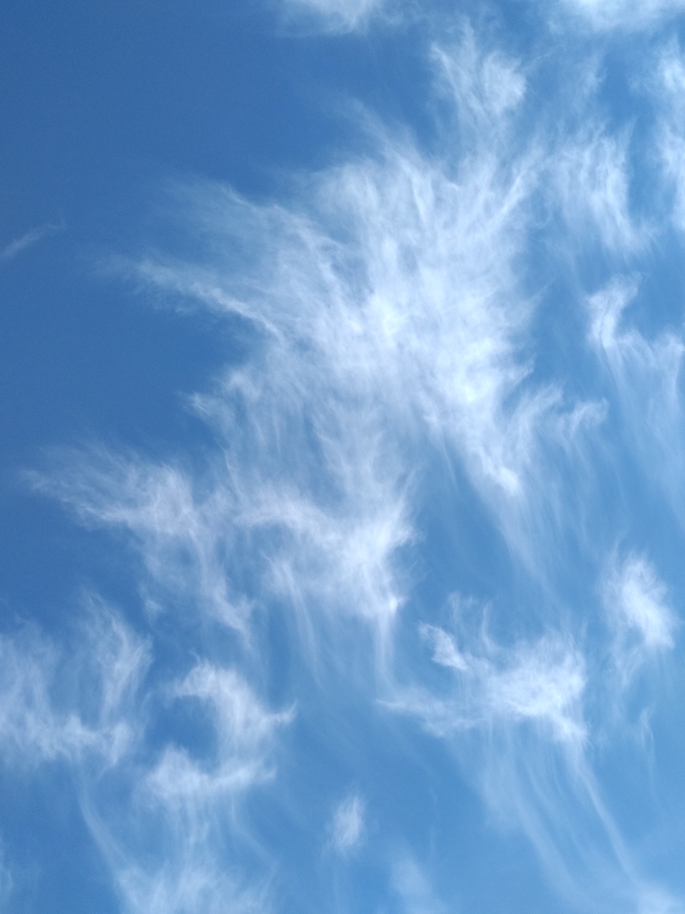 Nubes proyectando un futuro luminoso
Cirros en formación coreográfica
