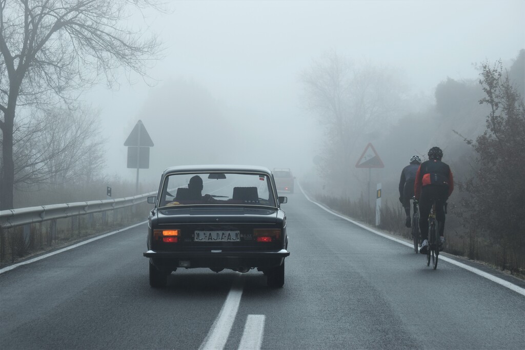 Niebla en carretera
