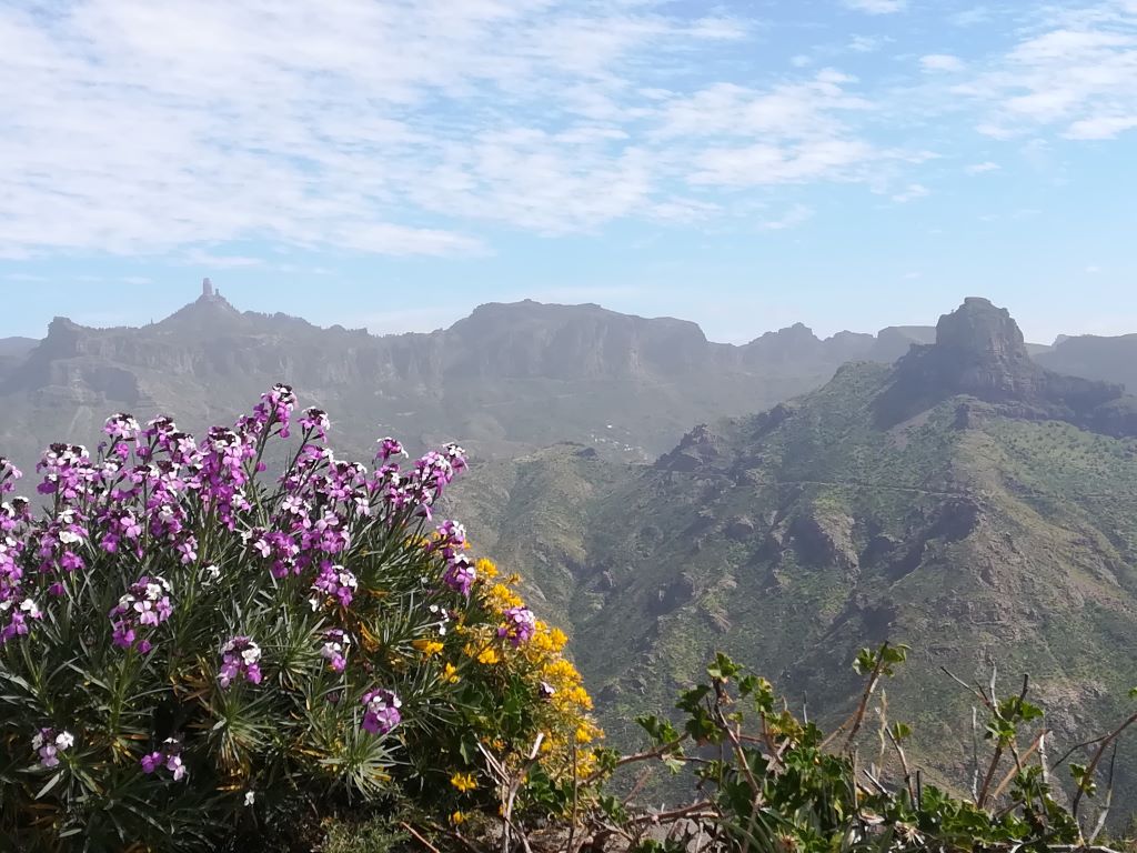 Ligera calima sobre las cumbres de Artenara
Fotografía tomada en un día en el que una ligera calima oscurecía ligeramente las montañas de Artenara, en el interior de la isla de Gran Canaria
