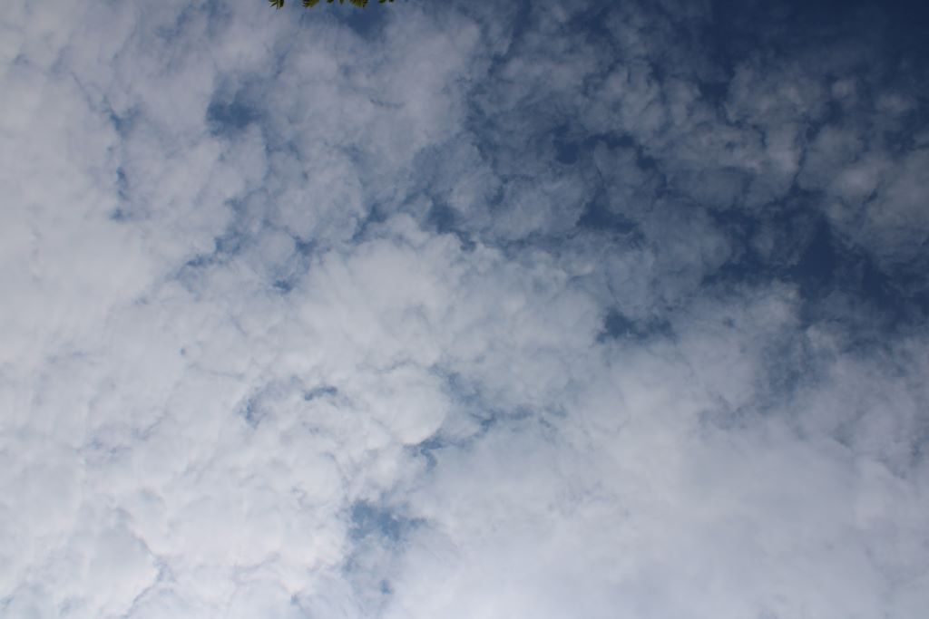 Algodón
Nubes de agosto
