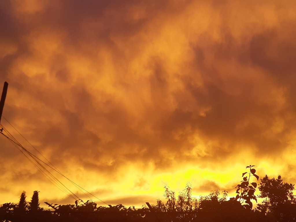 Atardecer de Fuego
A la puesta del sol, las nubes adquirieron una tonalidad que simulaba que el cielo estaba ardiendo.
Álbumes del atlas: zfv21