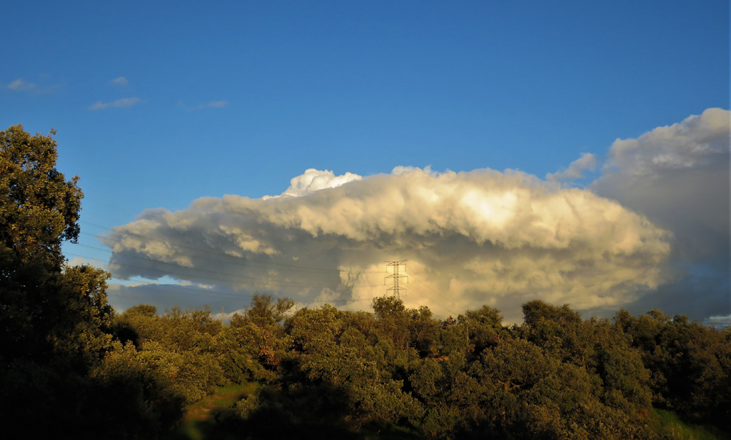 El hongo
Espectacular formación de nubes con descarga de lluvia.
