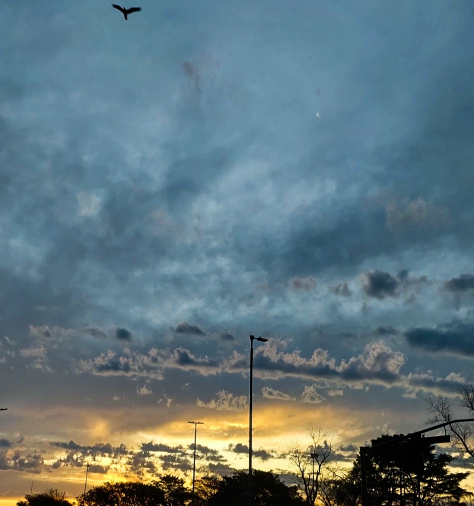 Saludo al atardecer 
Captura de como unas nubes parecen pintadas cual obra de arte durante un atardecer 

