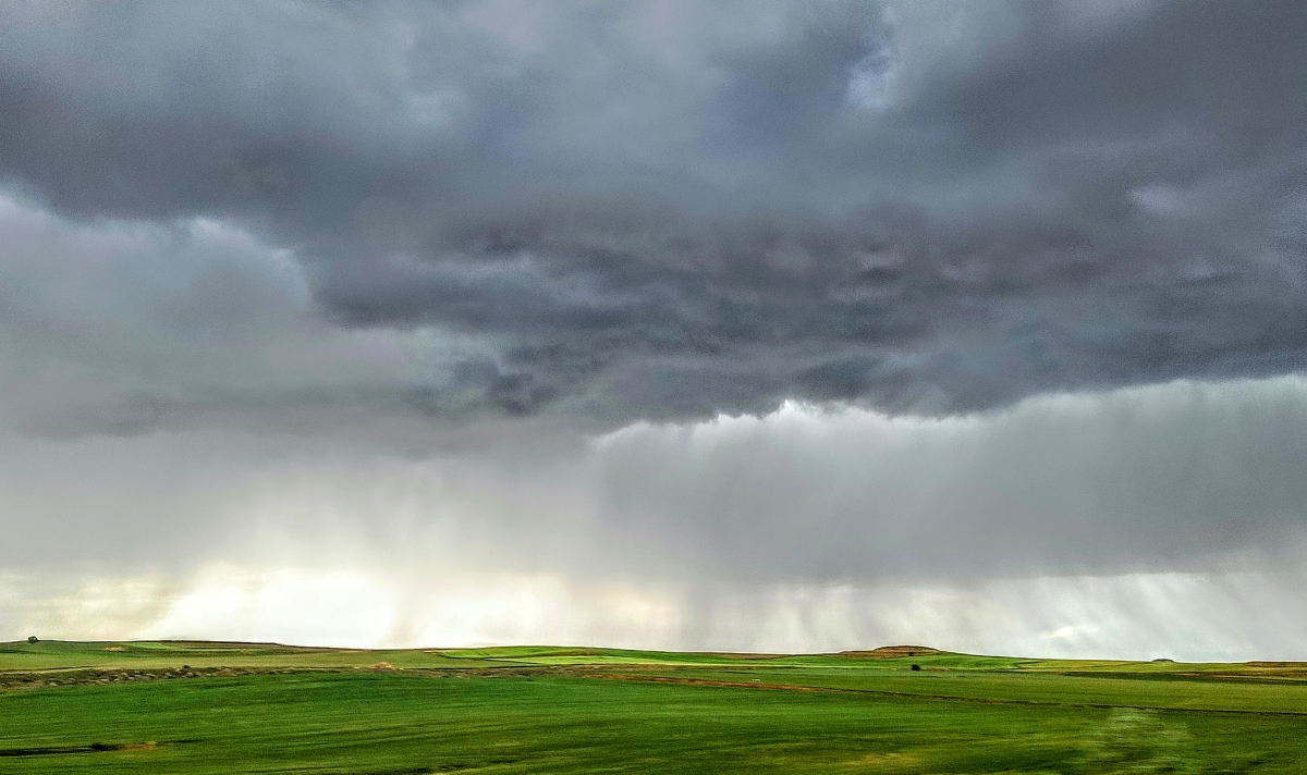 Cortina de lluvia
Fotografía de una nube de tormenta con sus cortinas de precipitación. Fue tomada durante un viaje desde la A-23 a la altura aproximada de Cariñena.
