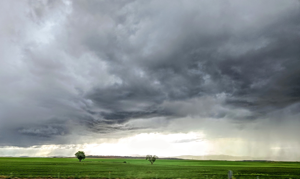 Nube de tormenta
Nube fotografiada con su cortina de precipitación en el campo.
