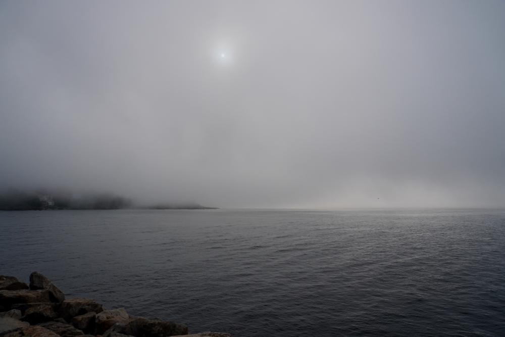 Niebla densa pero con poco espesor vertical, ya que se observa la silueta del sol.
