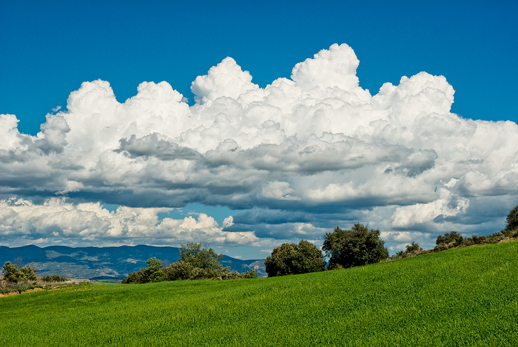 Atlas: Cumulus congestus
Cumulo con D.O. Somontano de Barbastro. 
