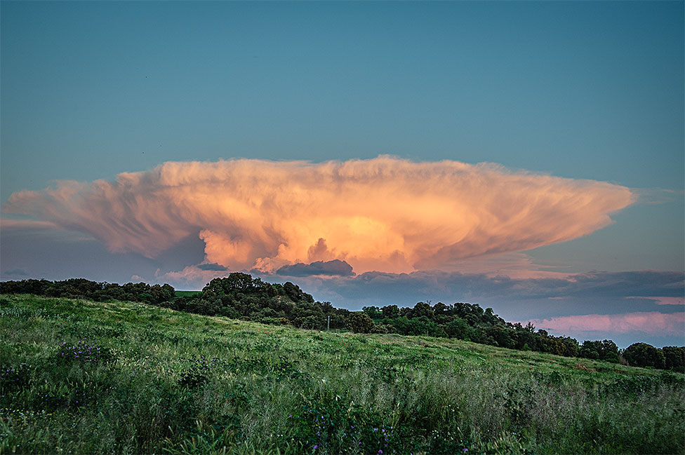 Atlas: Cumulonimbus capillatus incus
Cumulonimbus capillatus incus  sobre Lleida. Esa tarde el alumbrado publico se encendió mucho antes de lo habitual.
