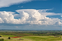 20250504_7702.jpg