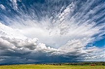 20250505_7725.jpg