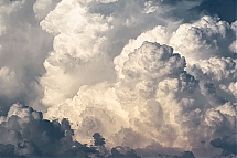 20250530_8936.jpg