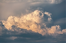 20250530_8951.jpg