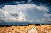 20250711_9647.jpg