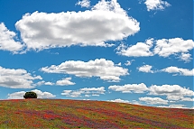 20260506_9419.jpg