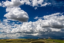 20260512_0007.jpg