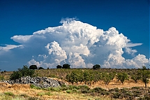 20260804_2150.jpg