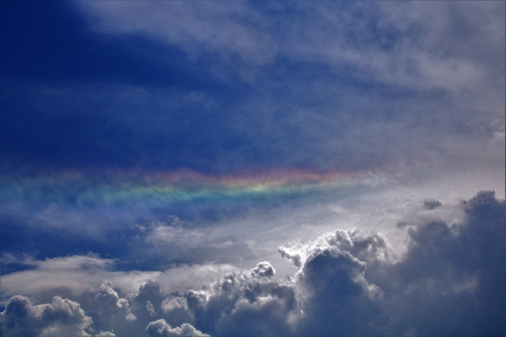 Entre las nubes, muchos colores
Un pequeño arcoíris producido por los rayos del sol, y las gotas de la lluvia que se aproximaba 
