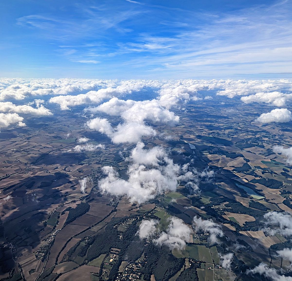 Bosque de nubes desde un avión 
