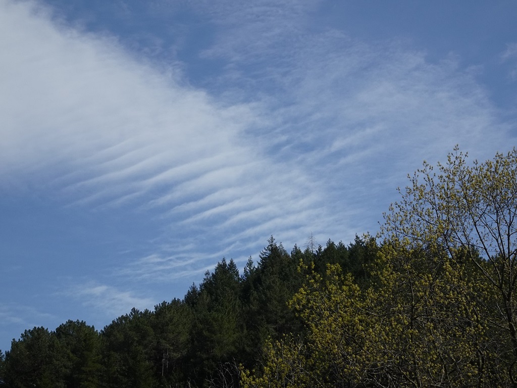 Nubes onduladadas antes del cambio de tiempo
Altocumulus undulatus antes de un cambio de tiempo en el Montseny
