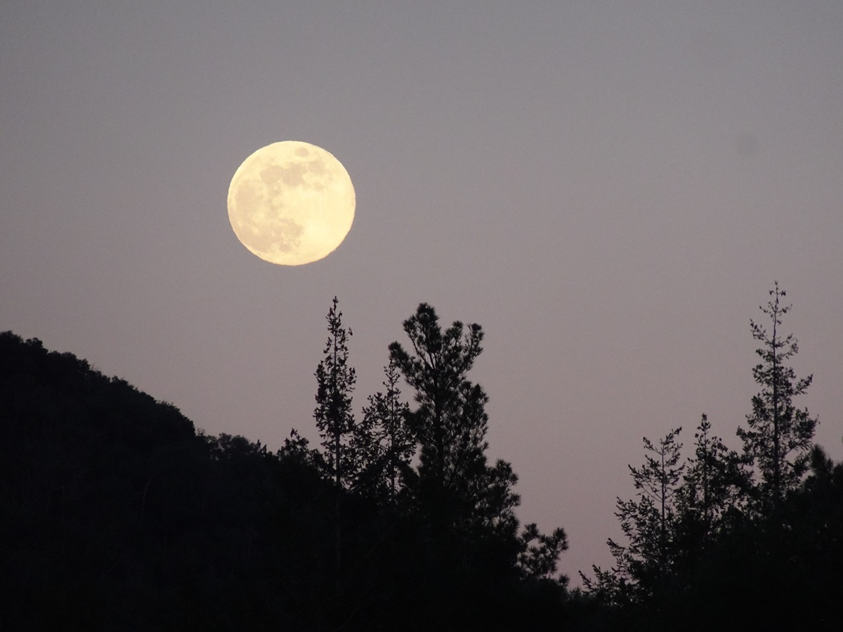 La primera luna llena del año coincidió con los días más fríos del invierno en Cataluña.
Al atardecer, que es la hora de la captura, ya estaba helando.
