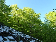 Nombre del archivo=20250507_Nieve-en-primavera.jpg
Tamaño del archivo=708Kb
Dimensiones=1200x900
Fecha añadida=Junio 10, 2025 20250507_Nieve-en-primavera.jpg