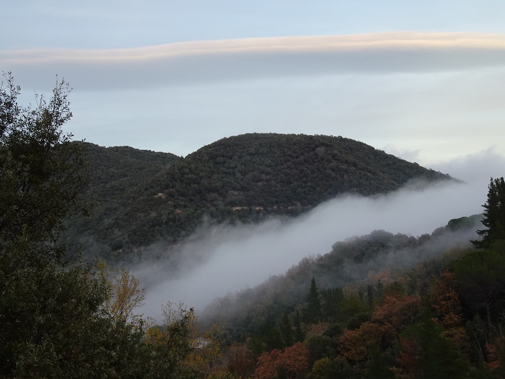 Paisaje otoñal
Eso es, un paisaje otoñal. Combinación de niebla colándose por el valle y nubes lenticulares, con los preciosos colores de otoño de los castaños y otros caducifolios.
