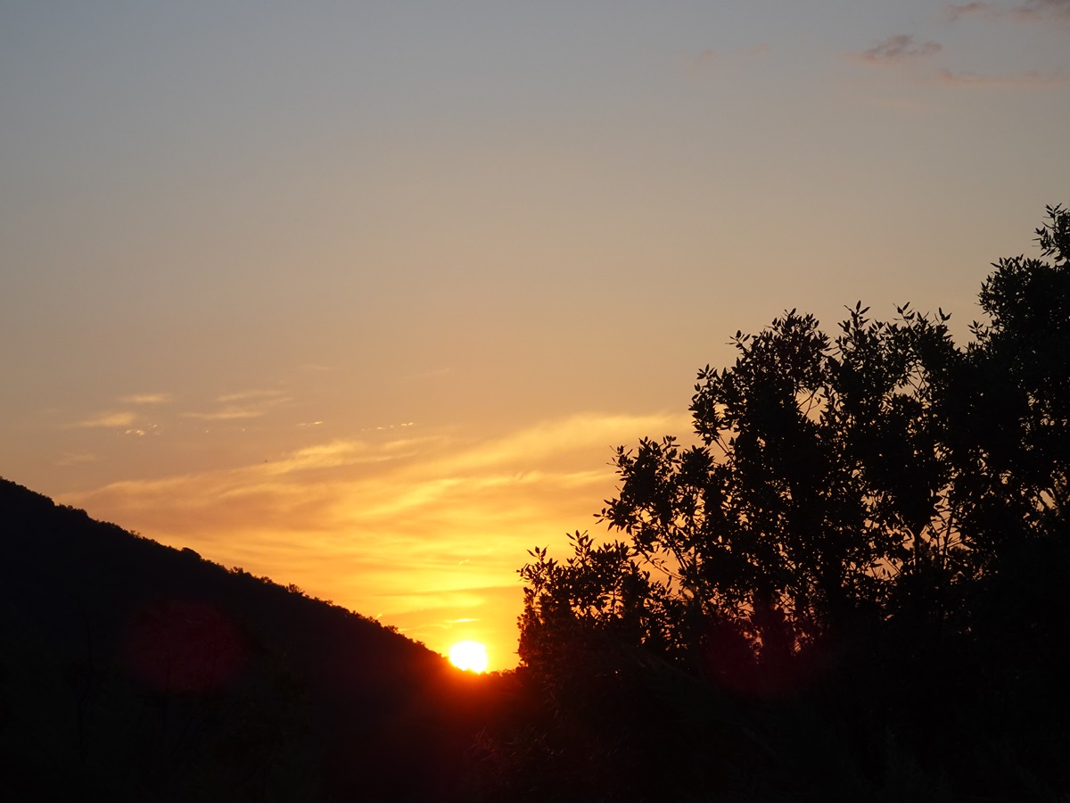 Amanecer de verano... habla por sí solo. Con cirros decorativos.
