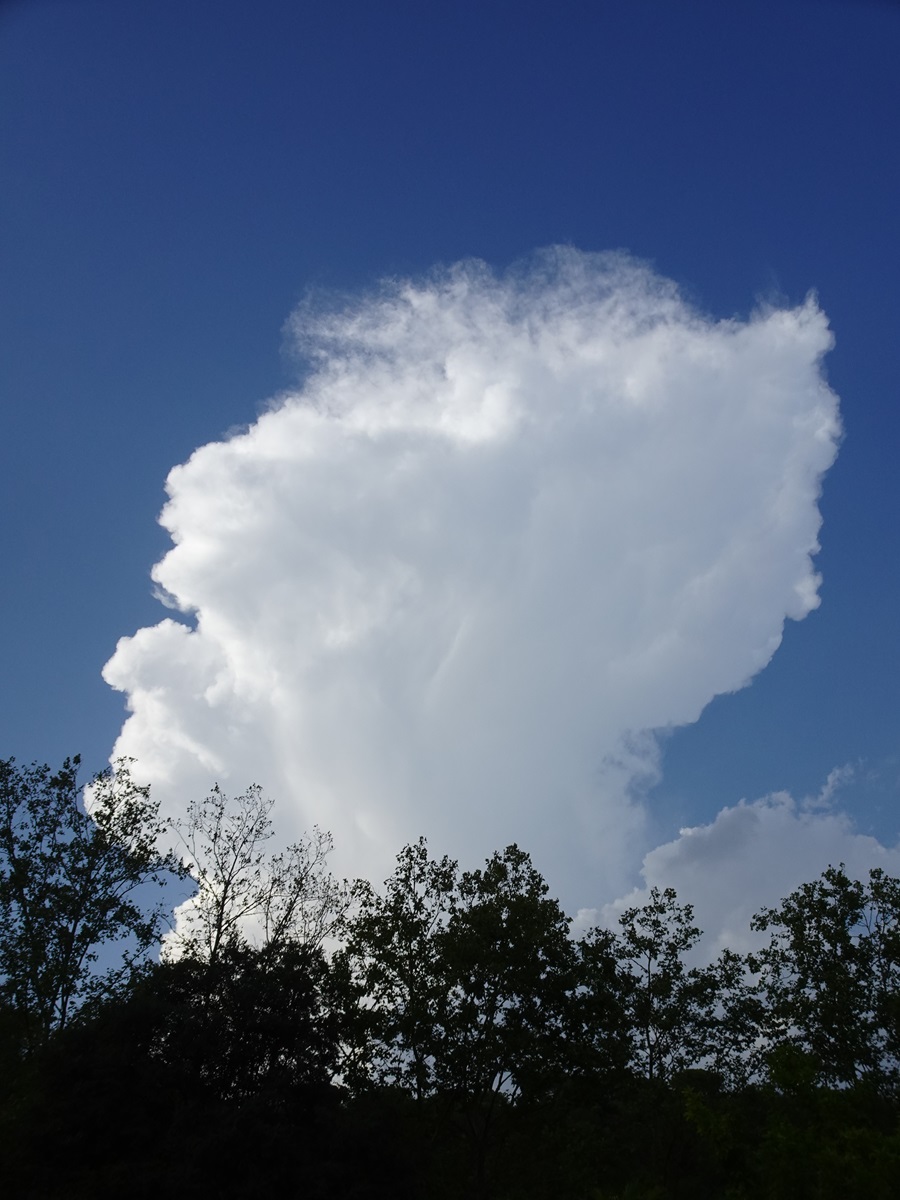 Nube de desarrollo vertical, con base muy estrecha. Mirando al norte. Las lluvias llegaron a ser intensas en Osona, pero aquí no llegó la lluvia. Sin embargo, este cumulonimbo se veía impresionante...
