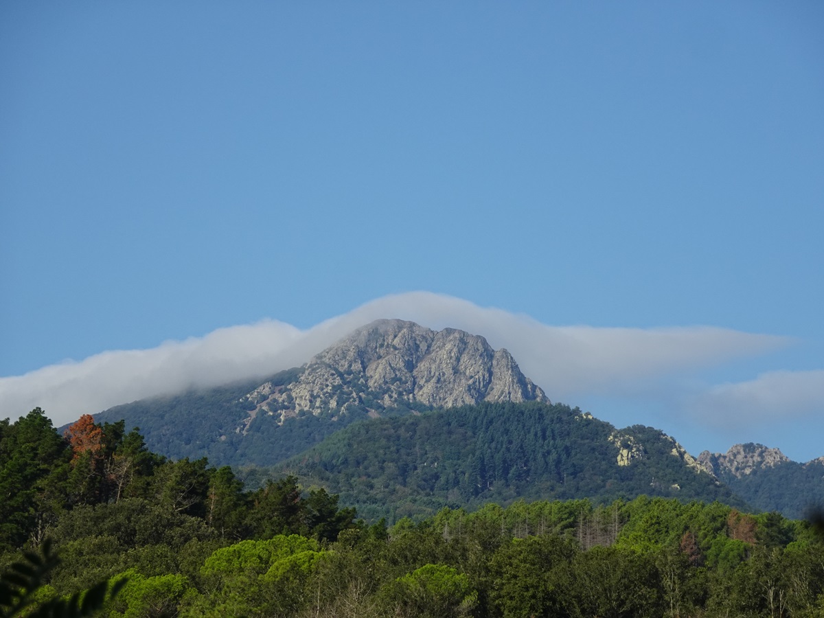 Pues eso. El título habla por sí solo. Era temprano por la mañana cuando se observó esta nube orográfica siguiendo perfectamente el relieve de Les Agudes (1706m.), en el Montseny.
Hizo una mañana muy húmeda, que favoreció la aparición de algunas nubes bajas.
