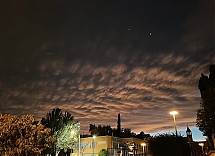 Candilazo en mamatus