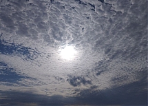 Altocumulus_translucidus_Bollullos_del_Condado_28H29_17-12-24.JPG