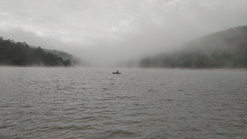 SILUETA A CONTRALUZ ENTRE LA NIEBLA
Paseo en barca para reconocimiento de las líneas de pesca. Mañana fresca y entre la niebla......
