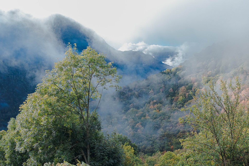Luz de Otoño
Fotografía de paisaje tomada en las inmediaciones del bosque de Carlac, casi en la frontera con Francia, el 21 de octubre de 2023, en un taller con el fotógrafo Javier Vallhonrat
