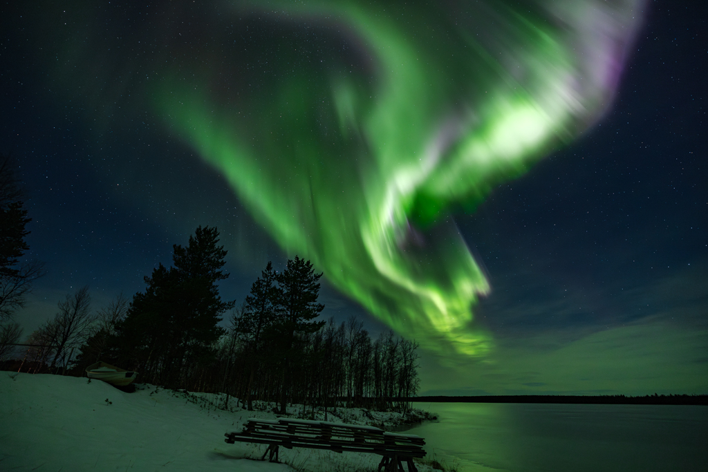 Aparición de una aurora boreal activa entre el bosque y el lago en el corazón de Laponia
