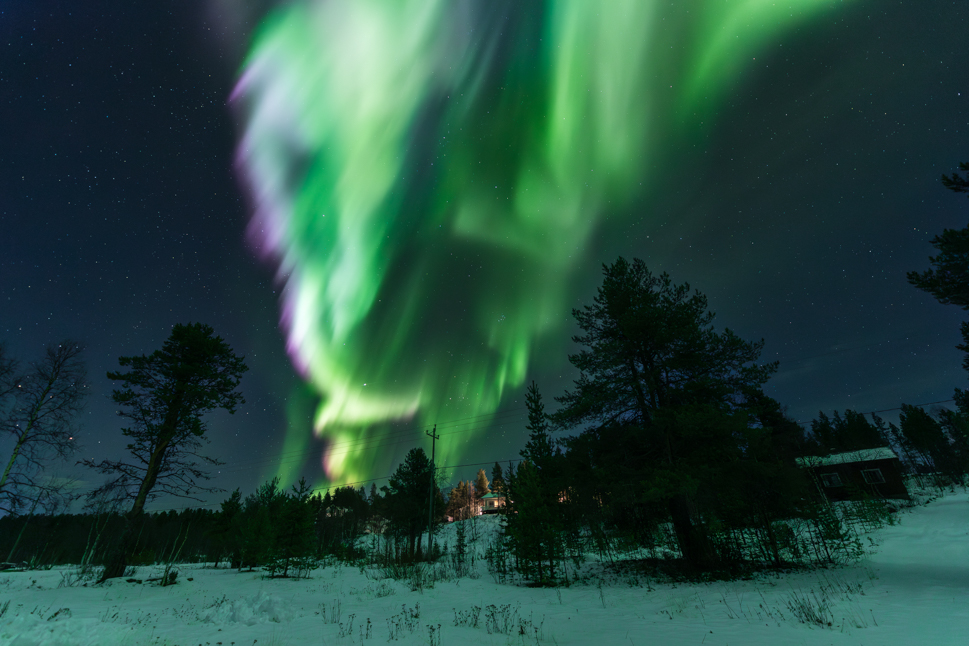 Primer acercamiento al bosque y primera explosión de colores de la noche 
