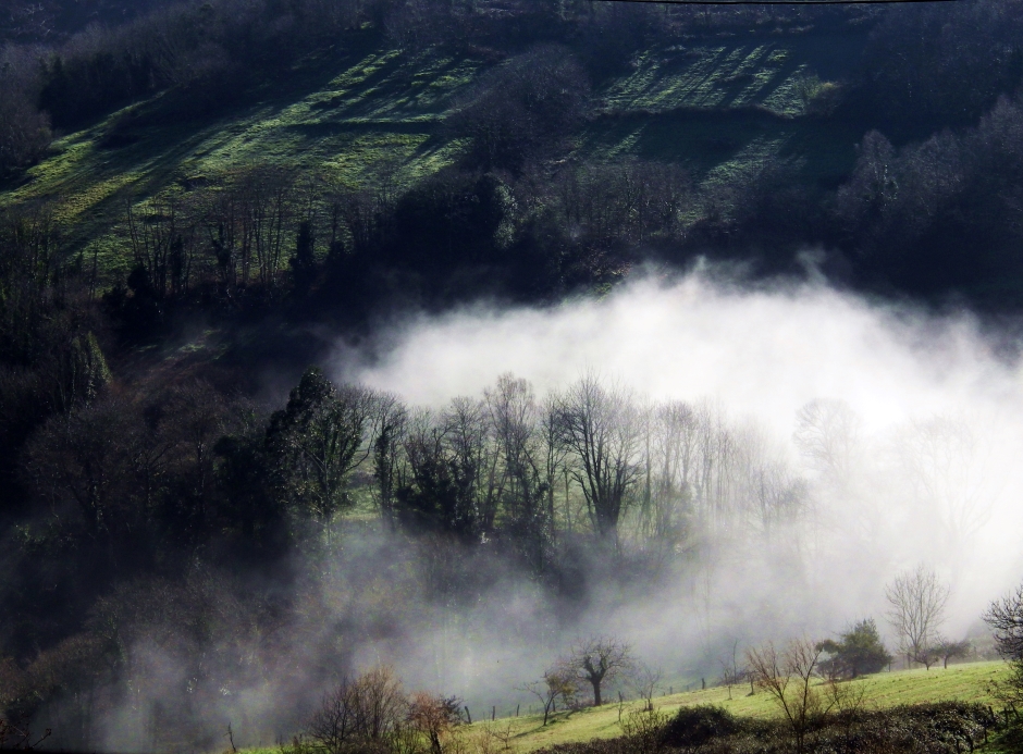NUBES EN LOS PRADOS
Los verdes prados cerca de Grullos, en Asturias son parcialmente ocultados por densas nieblas que se pasean entre las colinas.
