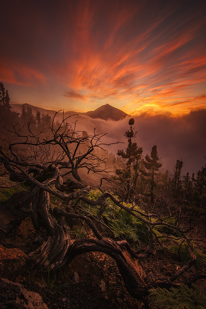 Un precioso atardecer que tuve la suerte de disfrutar y fotografiar en uno de mis lugares favoritos de la isla como no podía ser de otra manera, el Parque Nacional del Teide. 
