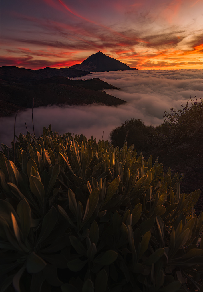 El Cielo es Mar.
Siempre es un espectáculo ver este mar de nubes adornando El Teide con nubes altas dando el toque de color que tanto nos gusta.
Esta fotografía la realicé en una visita al curso que organizaron Imanol Zuaznabar y Jon Tarafa en Tenerife.
