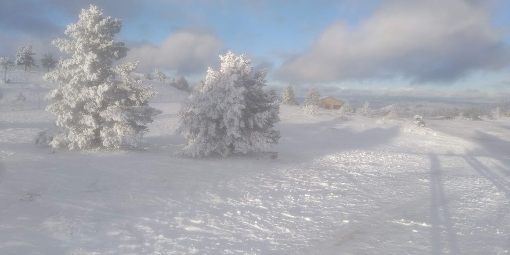 Blanco
Primera y esperada nevada en las pistas. A 2000m de altitud, y-8 grados, las copas de los árboles totalmente heladas contrastan con la luz del sol, las nubes blancas y al fondo la planicie y las montañas de la otra sierra también con nieve.
