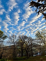06715F1B-5D6A-461E-AE7F-CB869BB129FC_compressed_2025_04_27_145423.jpeg
