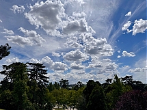 IMG_9284_compressed.jpeg