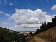 IMG_9632_compressed.jpeg
