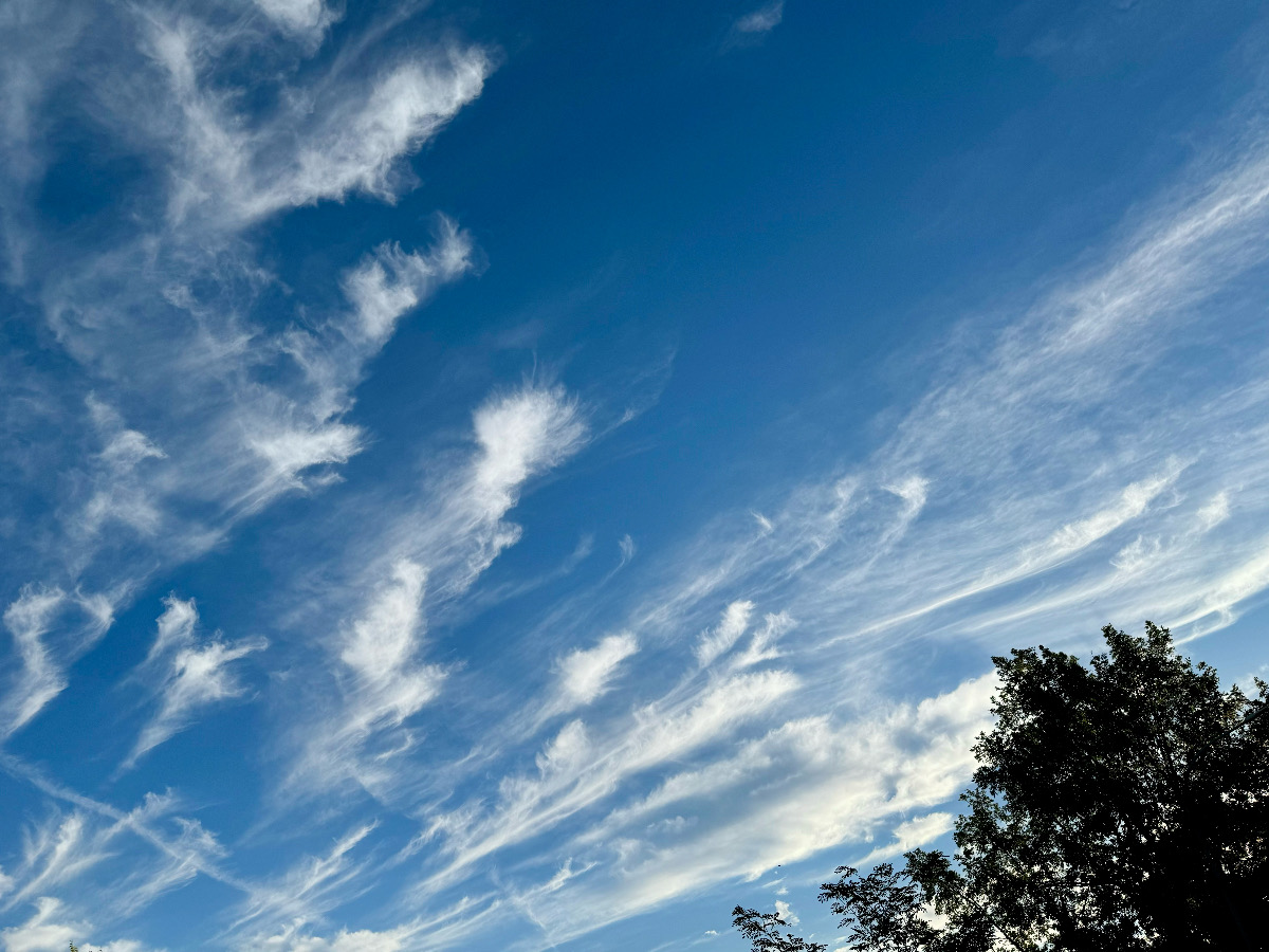 Cirrus en un precioso cielo azul de agosto 
